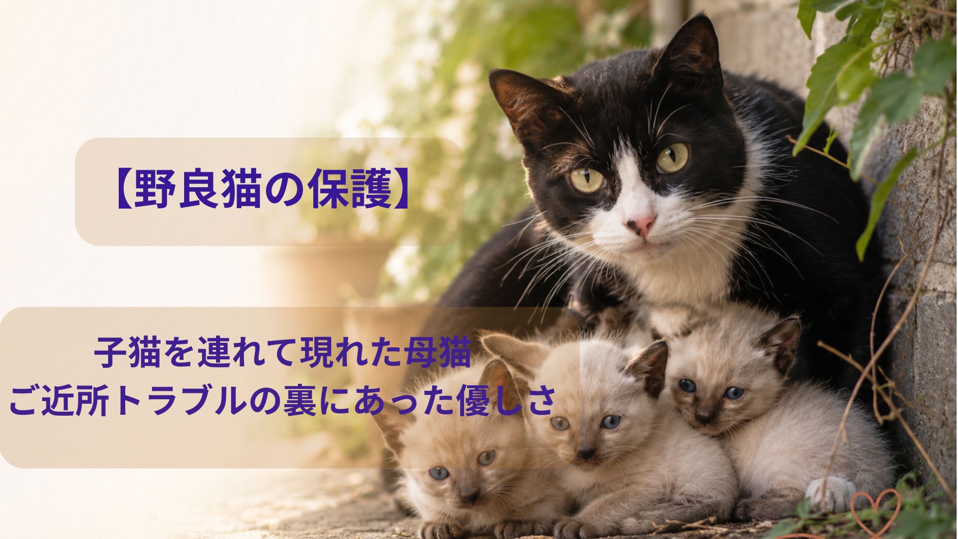子猫を連れてきた親猫