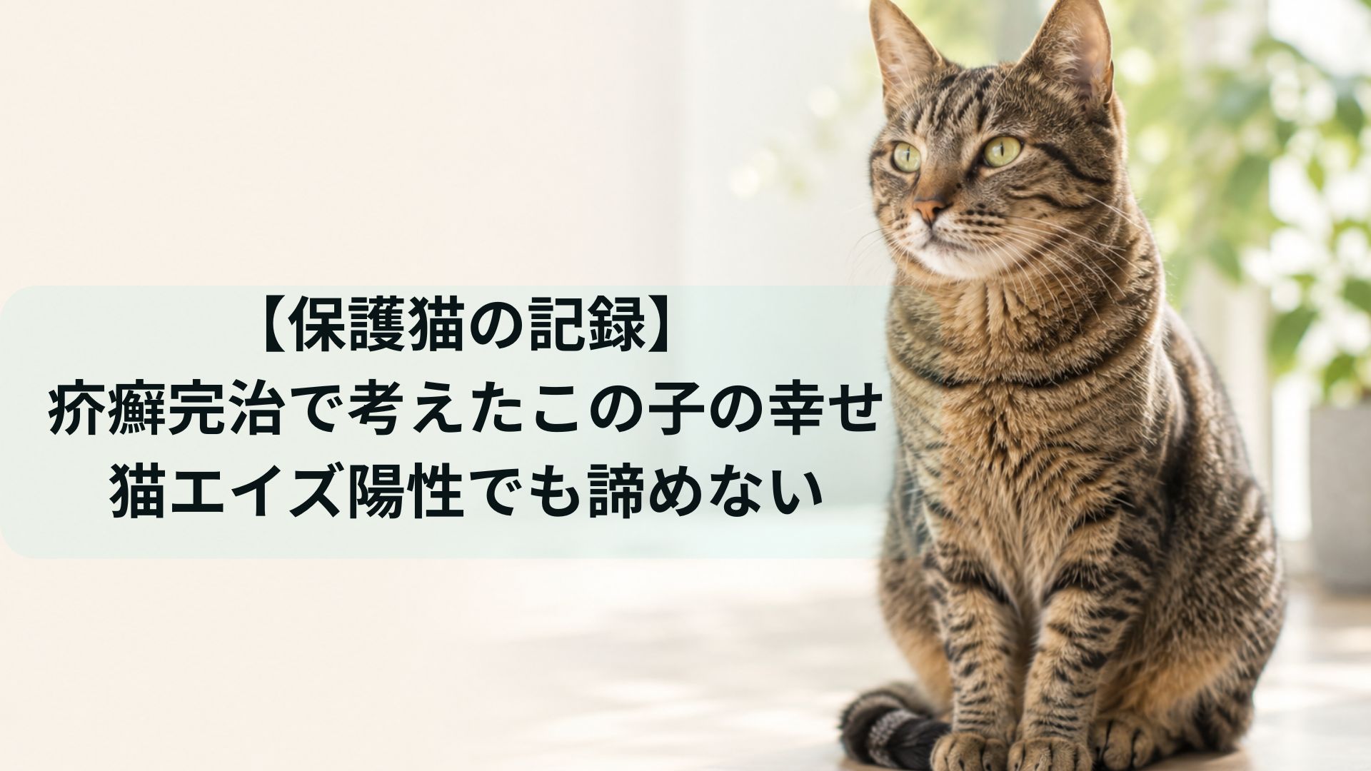 疥癬が治って将来について考える
